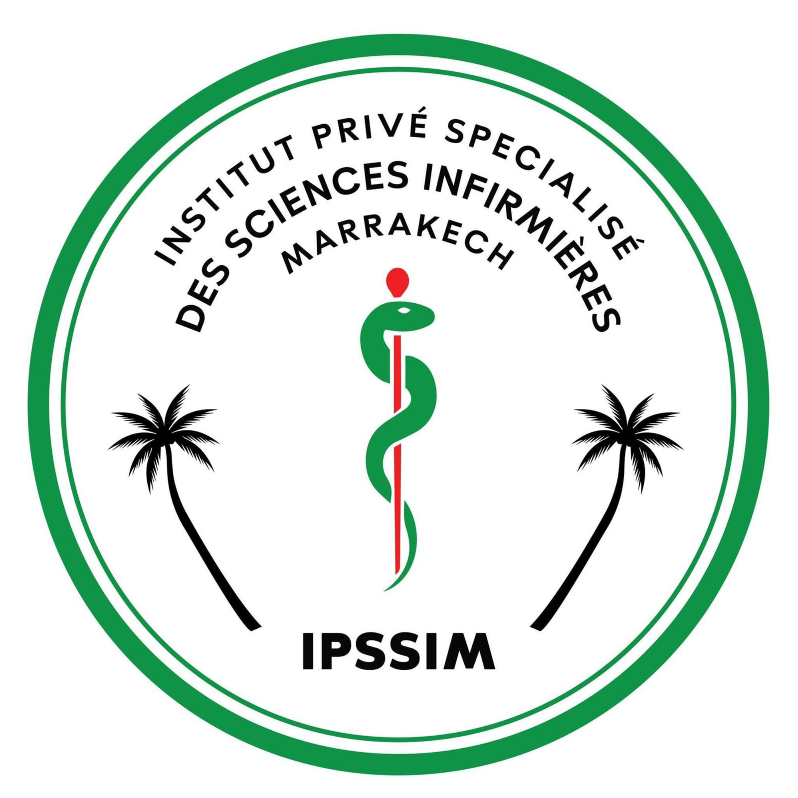 Untitled design (11)